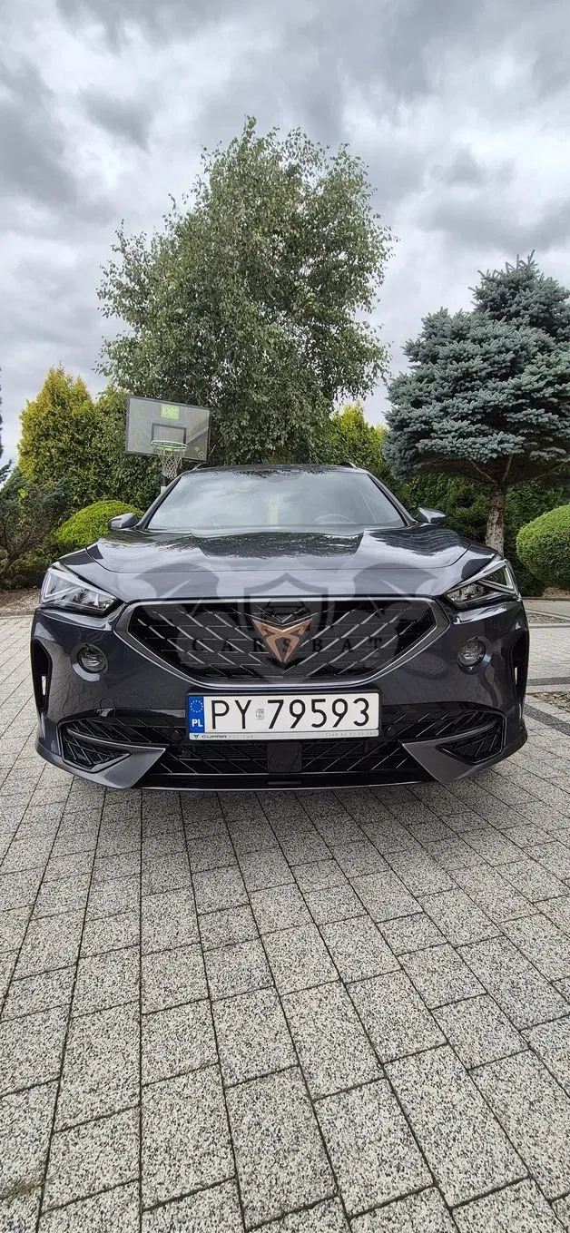 Cupra Formentor 1.5 TSI DSG 2023