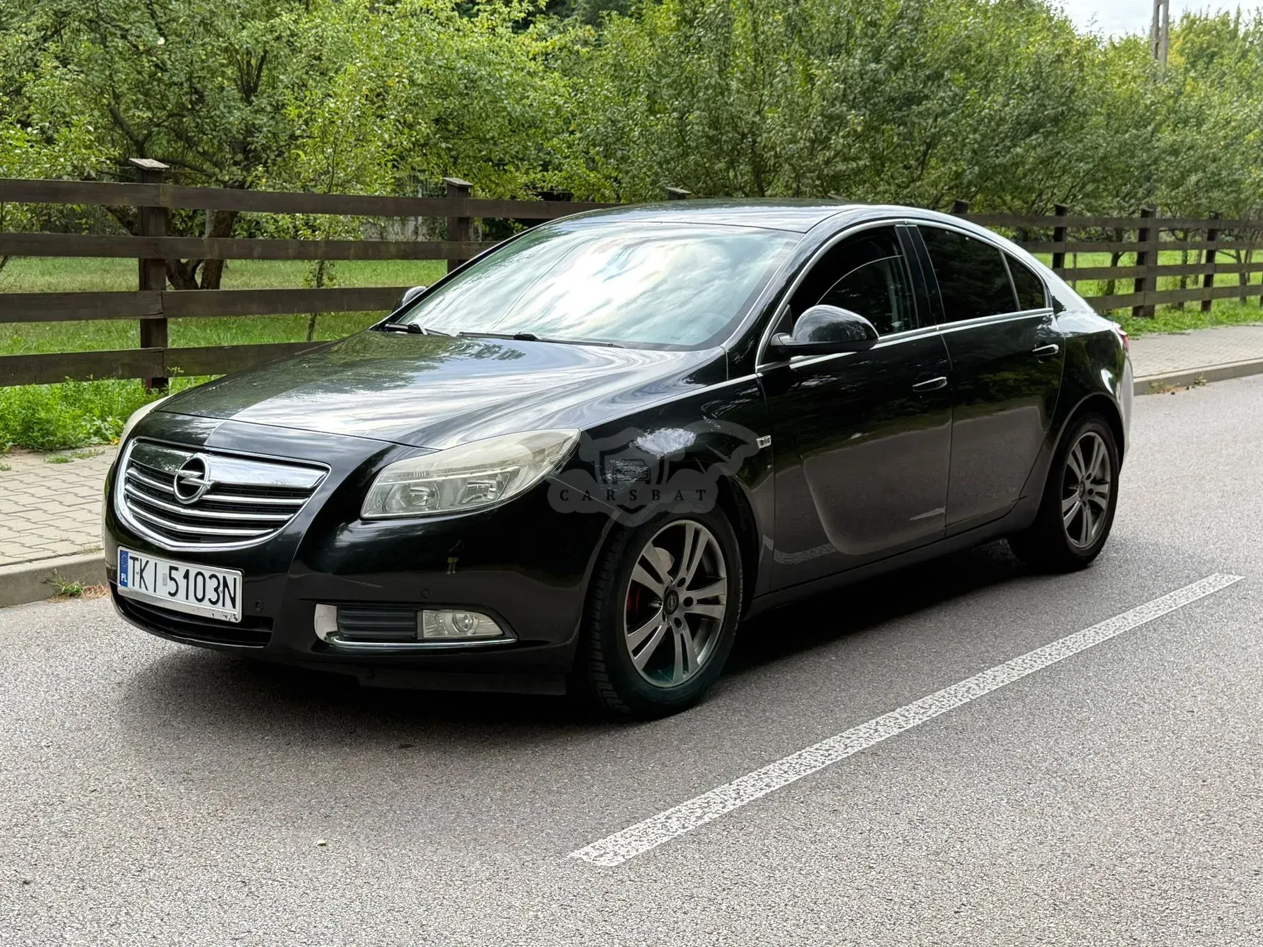 Opel Insignia A (2008-2017) 2.0 CDTI Cosmo ecoFLEX 2010