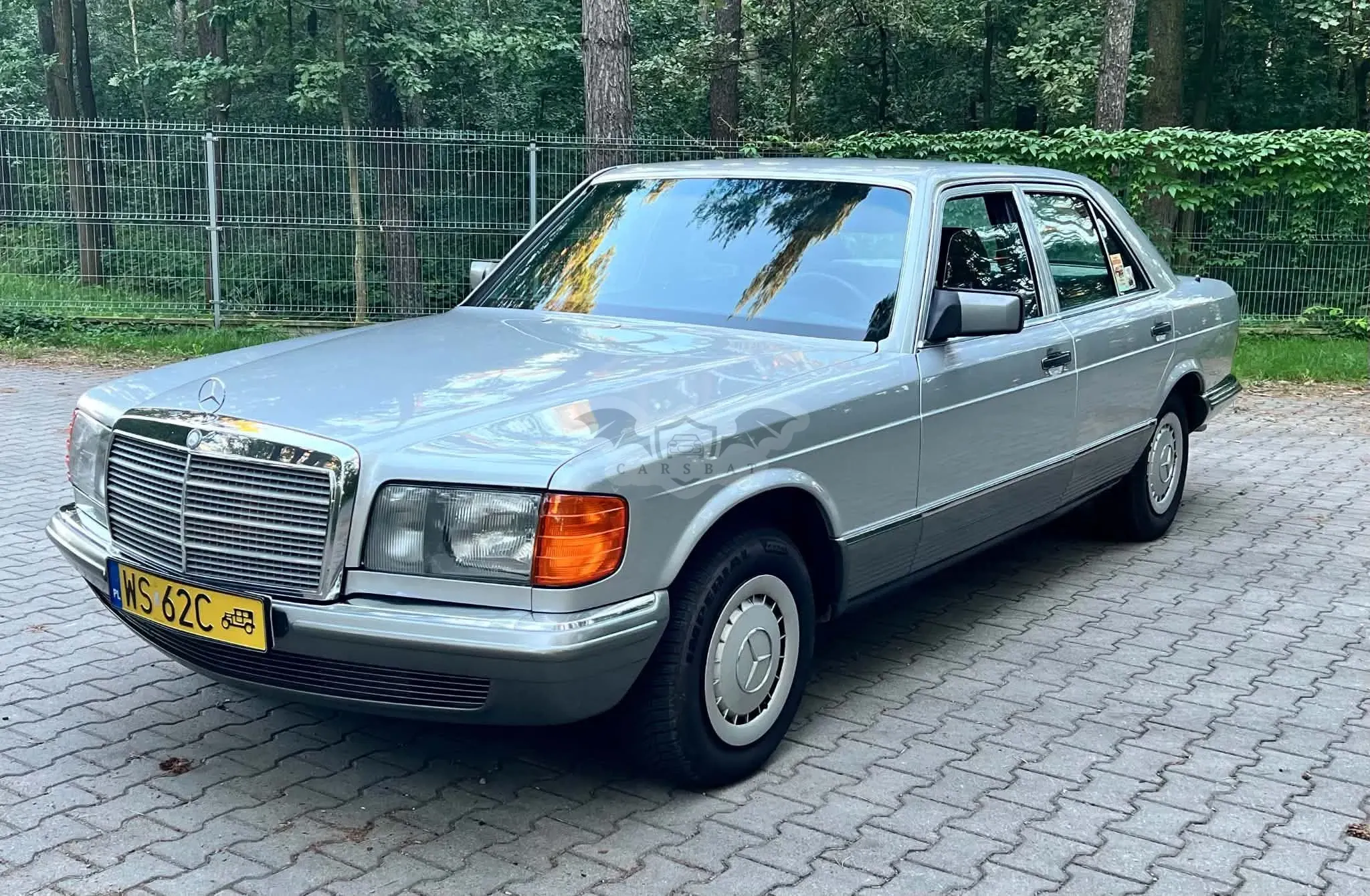 Mercedes-Benz S W126 (1980-1993) 1981