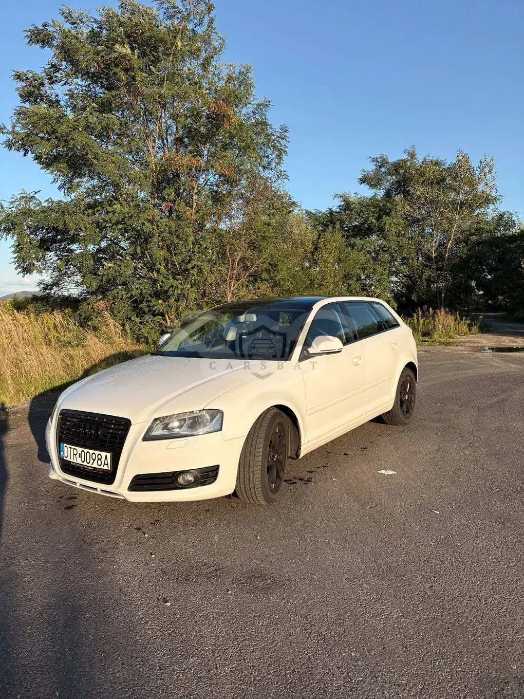 Audi A3 8P (2003-2012) 1.8T FSI Ambition 2008