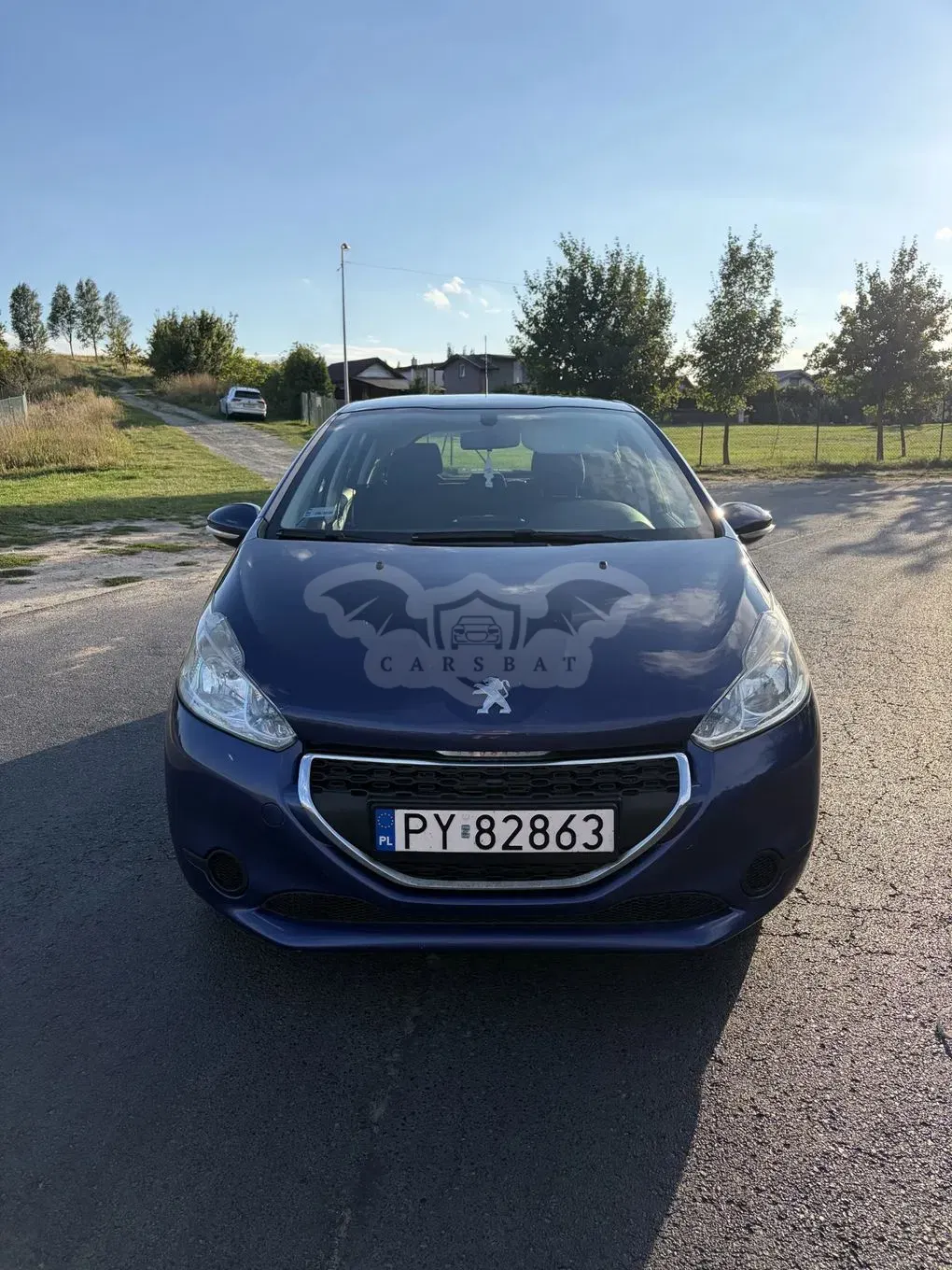 Peugeot 208 I (2012-2019) 1.4 HDi Active 2012