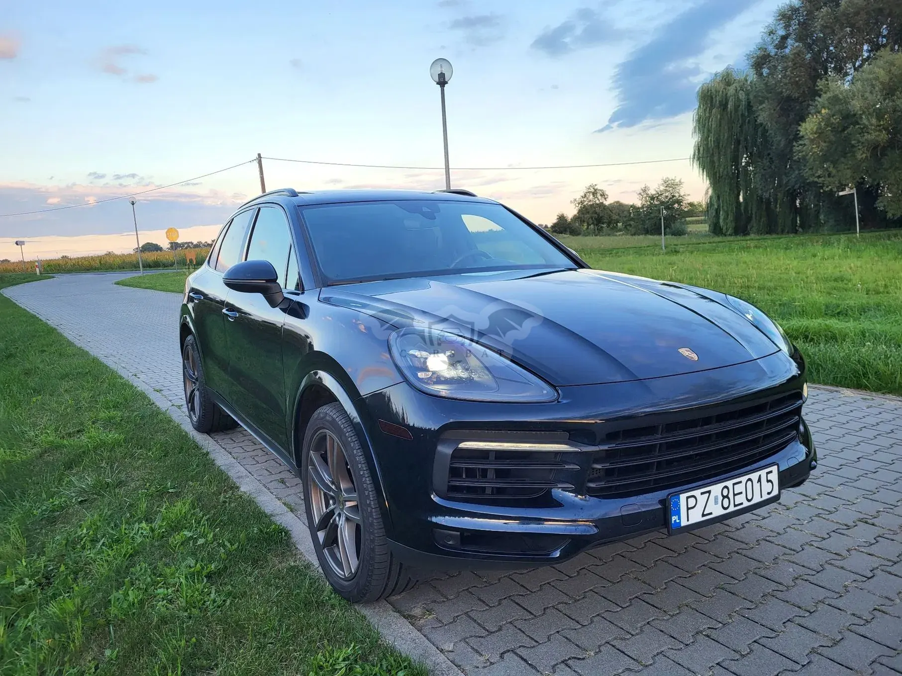 Porsche Cayenne III (2017-) Standard 2019